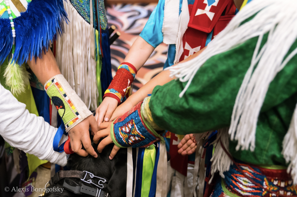 Tribal Food Sovereignty RegeNErate Nebraska