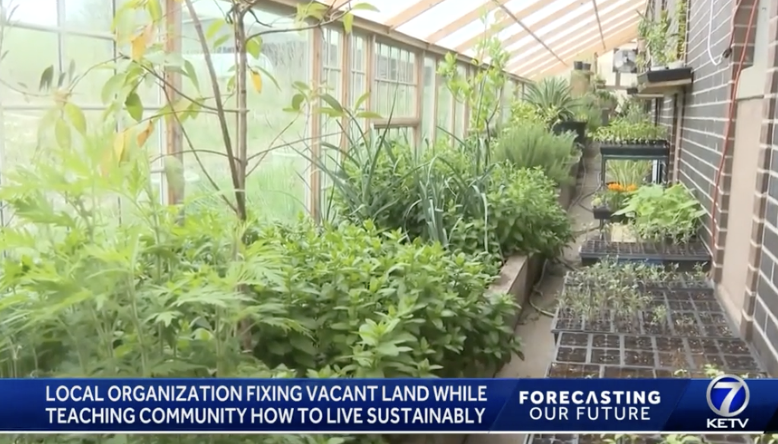 LOCAL ORGANIZATION REVIVING VACANT LAND WHILE TEACHING COMMUNITY SUSTAINABLE PRACTICES