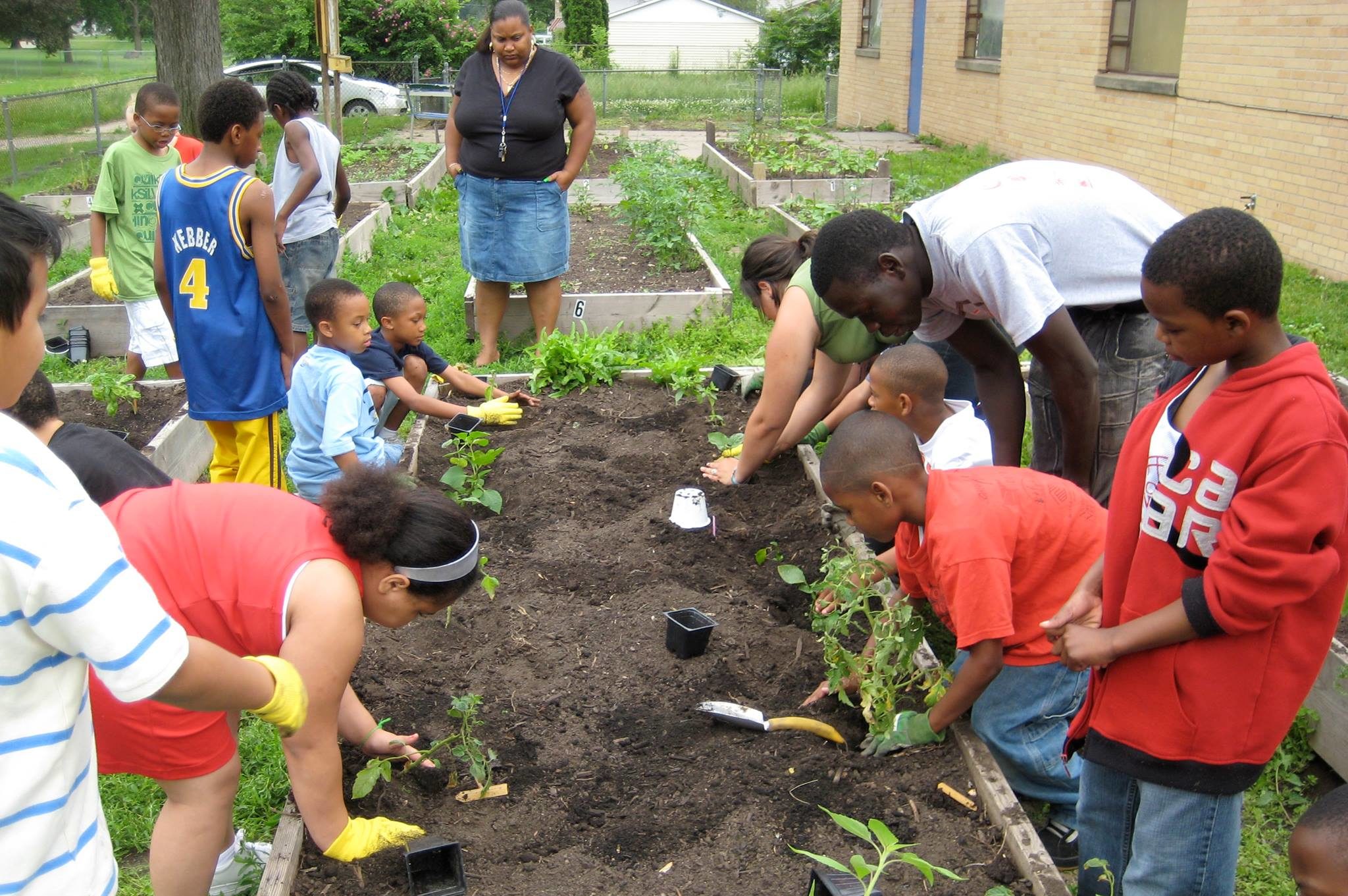 Urban Soil Regeneration & Food Sovereignty