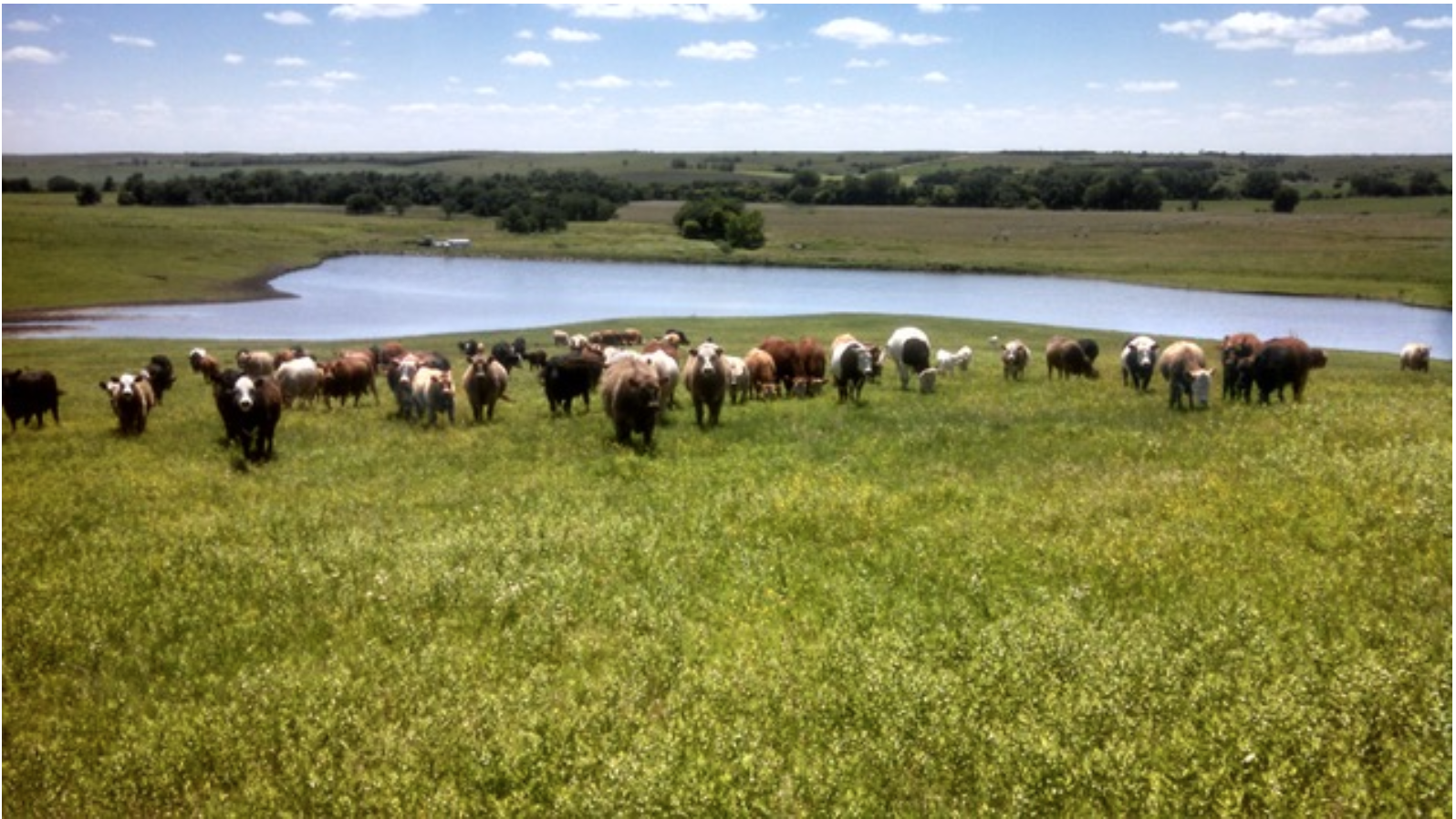 MEET LOCAL FARMER: KEVIN FULTON OF FULTON FARMS