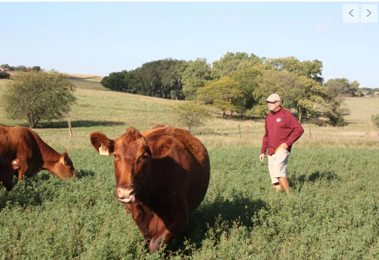 Grace: Climate report scares me. How about Nebraska farmers and ranchers?