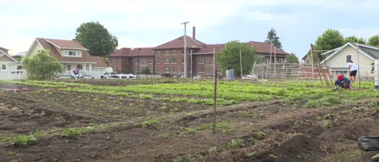 Omaha community gardens play more than one important role