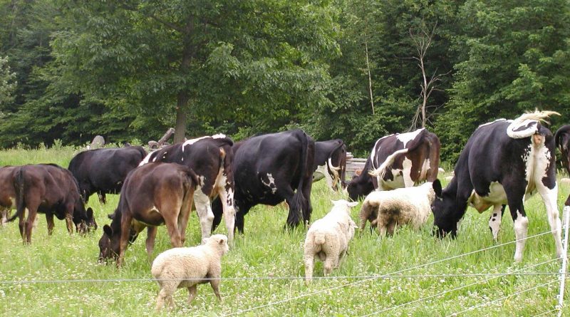 Nebraskan agriculturalist fight climate change