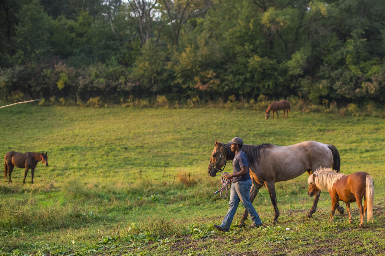 Regenerative Agriculture Part 4: The Benefits