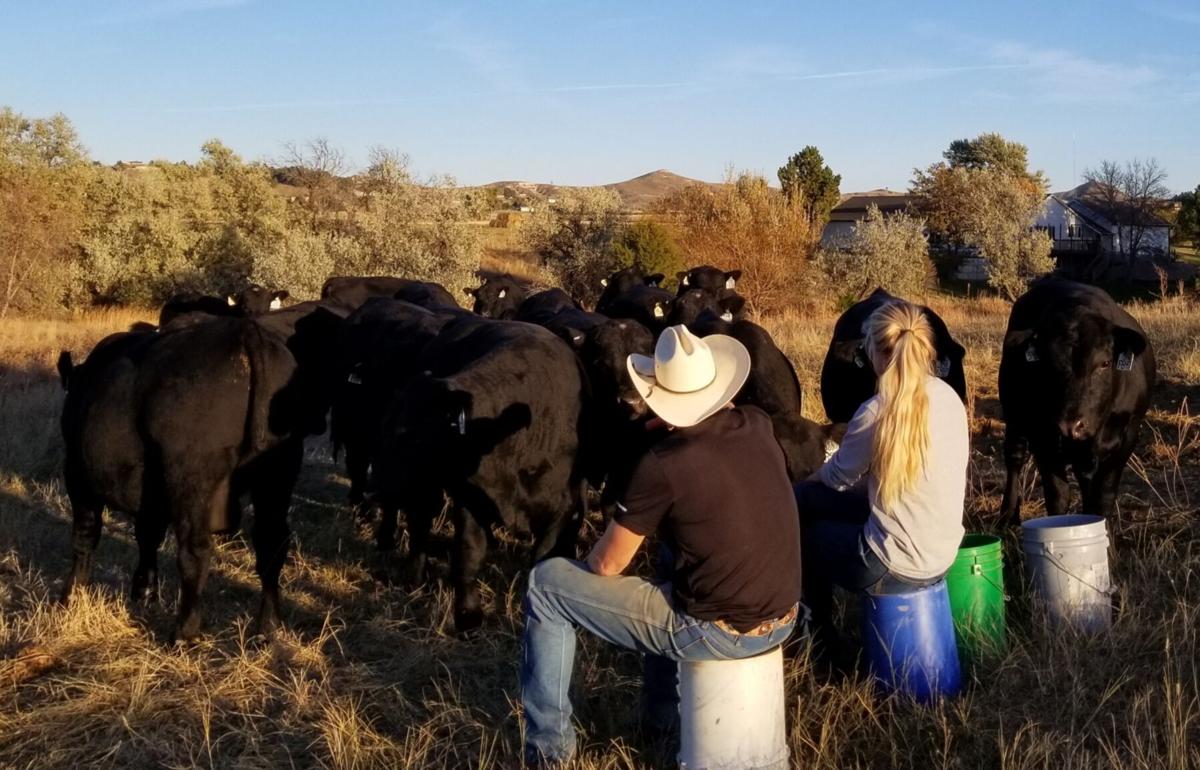 ‘FILLED WITH POSSIBILITIES’ – TEACHER SAYS REGENERATIVE AGRICULTURE IS AN AFFORDABLE APPROACH FOR RANCHERS