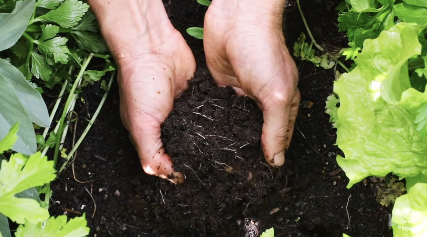 FARMERS AND RANCHERS ON THE BENEFITS AND BARRIERS OF ADOPTING REGENERATIVE AGRICULTURE